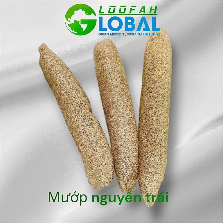 Mướp nguyên trái